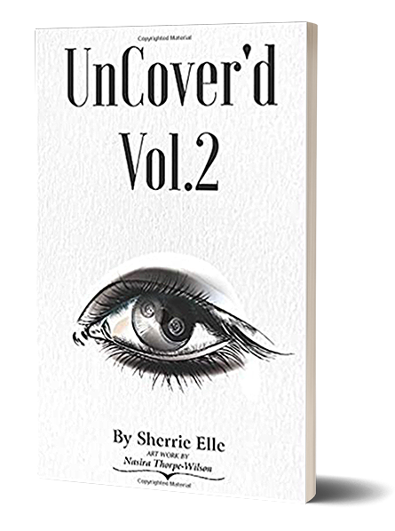 uncoverd volumne 2 book cover